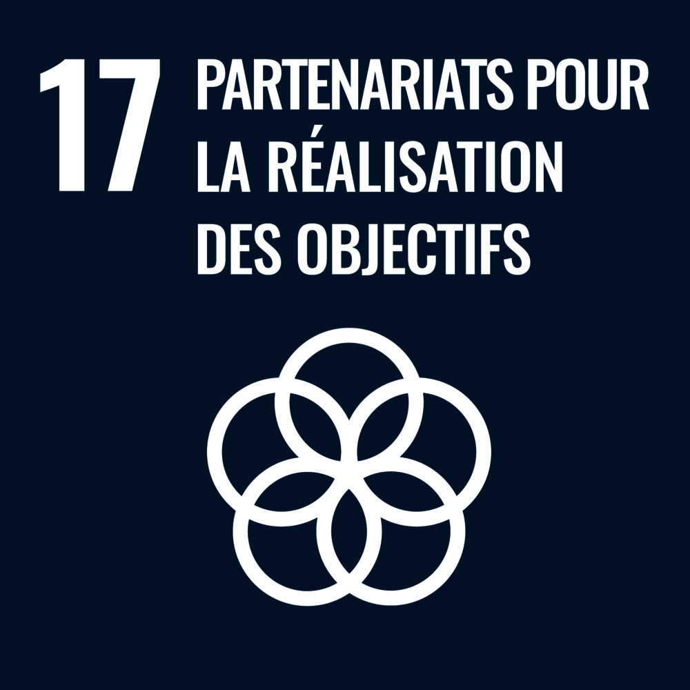 ODD 17 − Partenariats pour la réalisation des objectifs (fichier .docx)